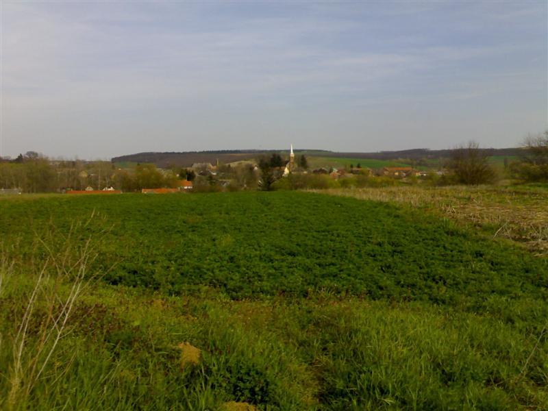 200704091725 .jpg